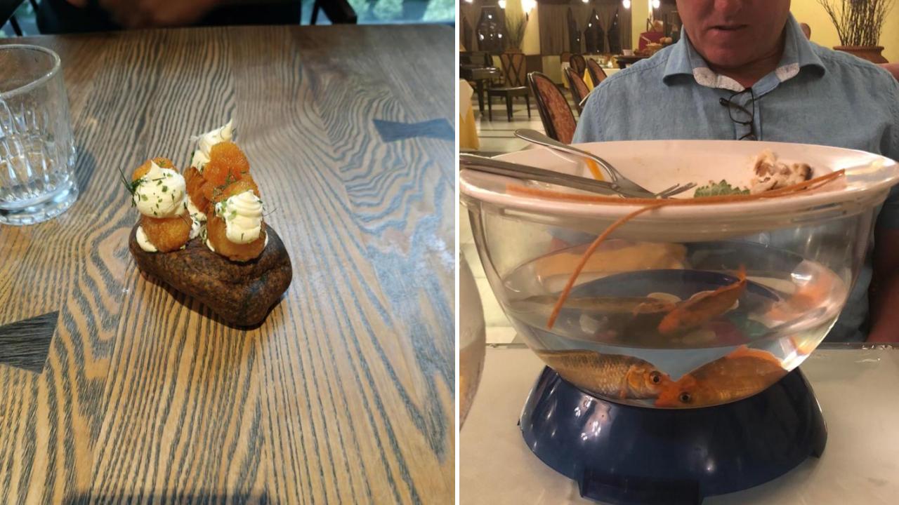 25 Diners Who Wanted Normal Dishes To Eat Off Of | Know Your Meme
