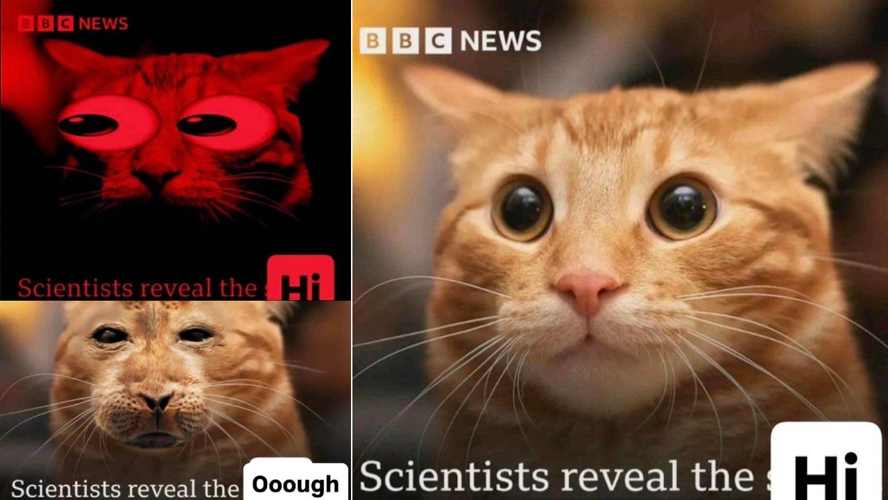 What Is The 'Scientists Reveal The Hi' Meme? The Meaning Of The Viral ...