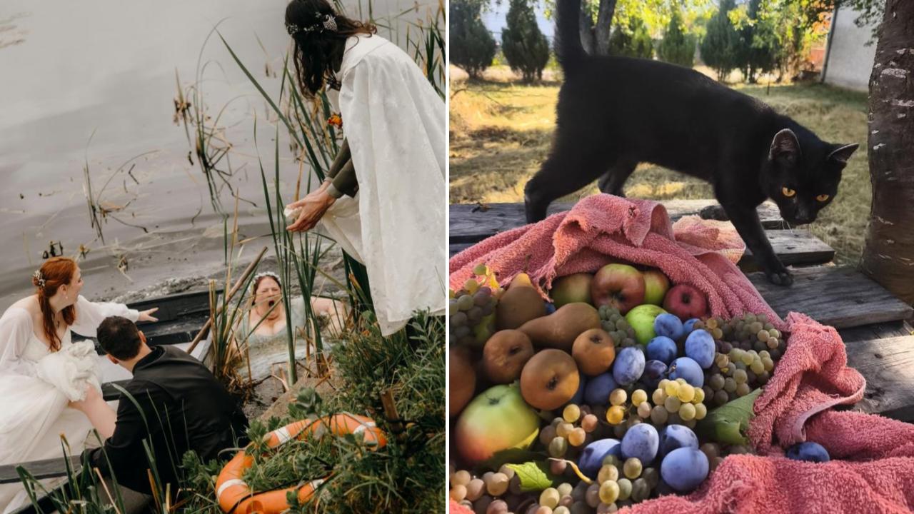 25 Accidentally Renaissance-Like Images Highlighting The Beauty in ...