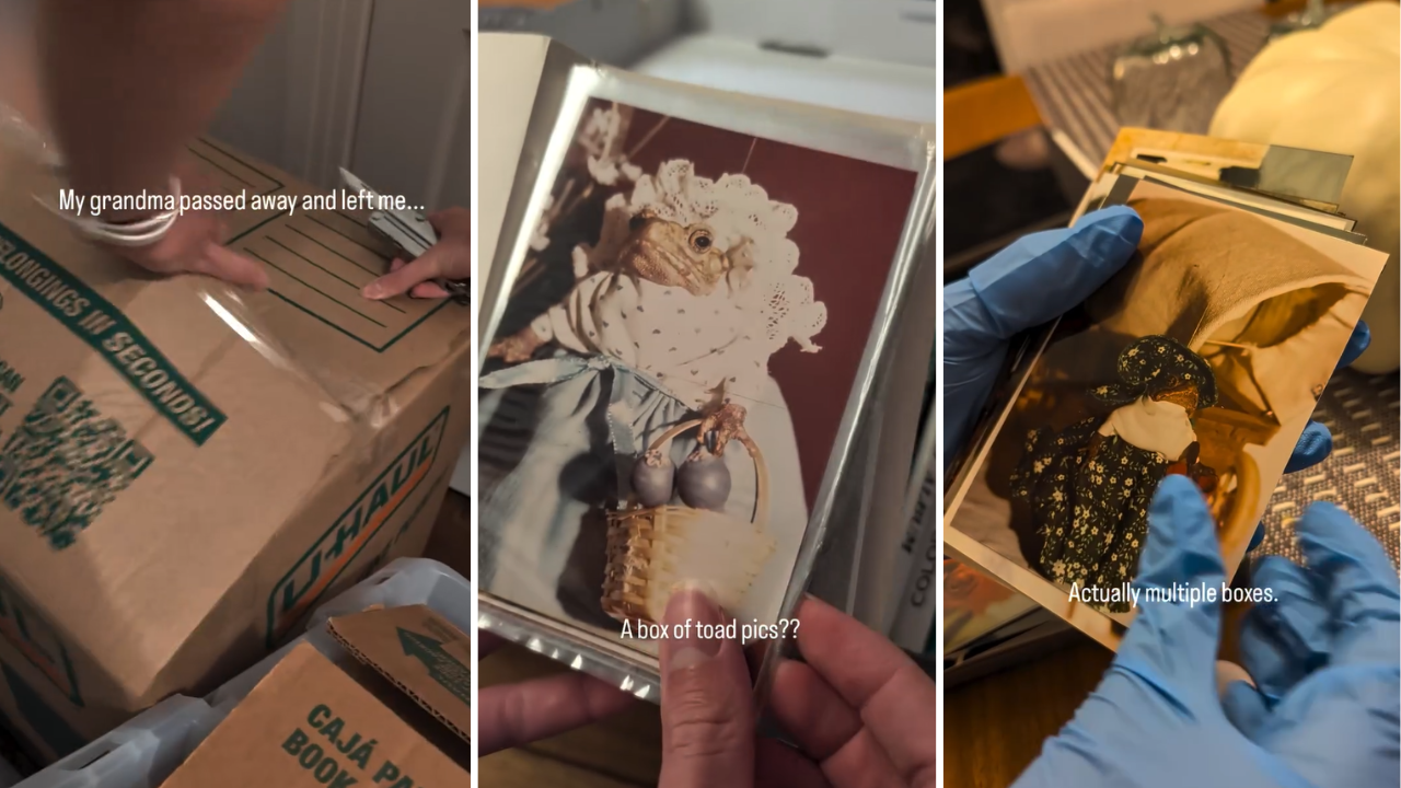 Person Discovers Their Late Grandmother Was Really Into Photographing ...
