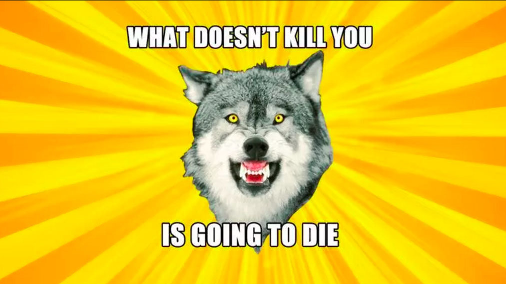 Courage Wolf Know Your Meme