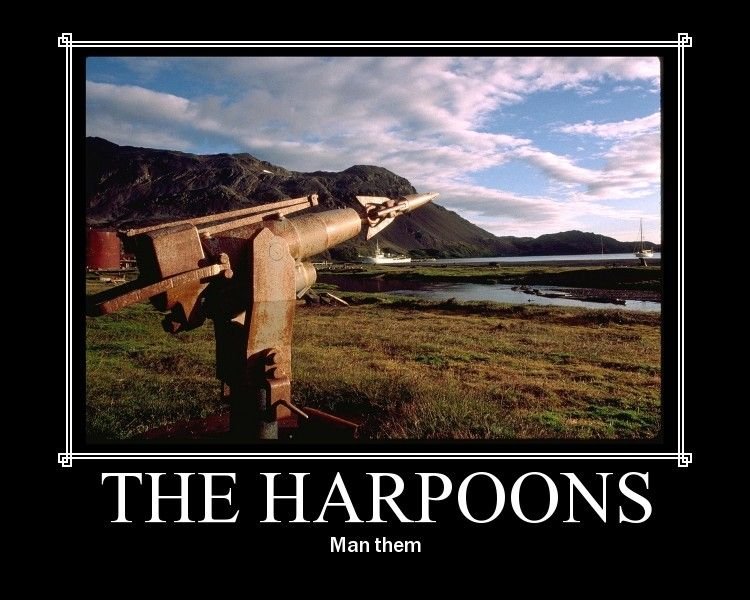 Man_the_harpoons