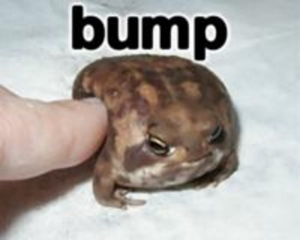 https://i.kym-cdn.com/entries/icons/facebook/000/000/861/frog_bump.jpg