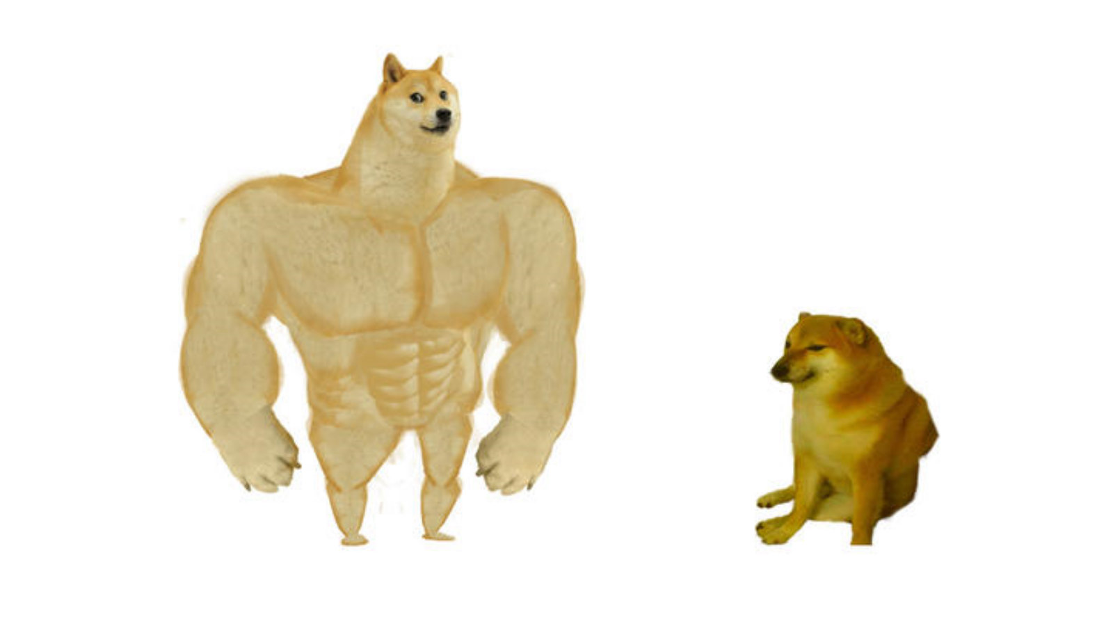 Swole Doge Vs Cheems Know Your Meme - tiny doge d roblox