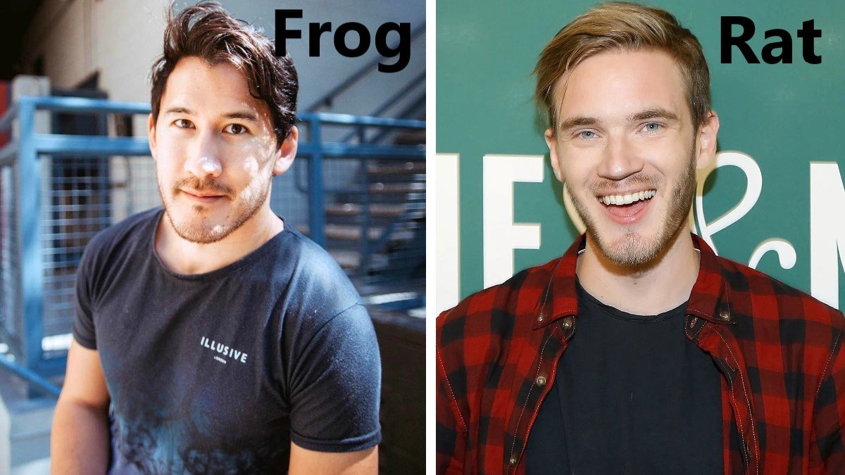Frog Or Rat TikTok Trend Know Your Meme