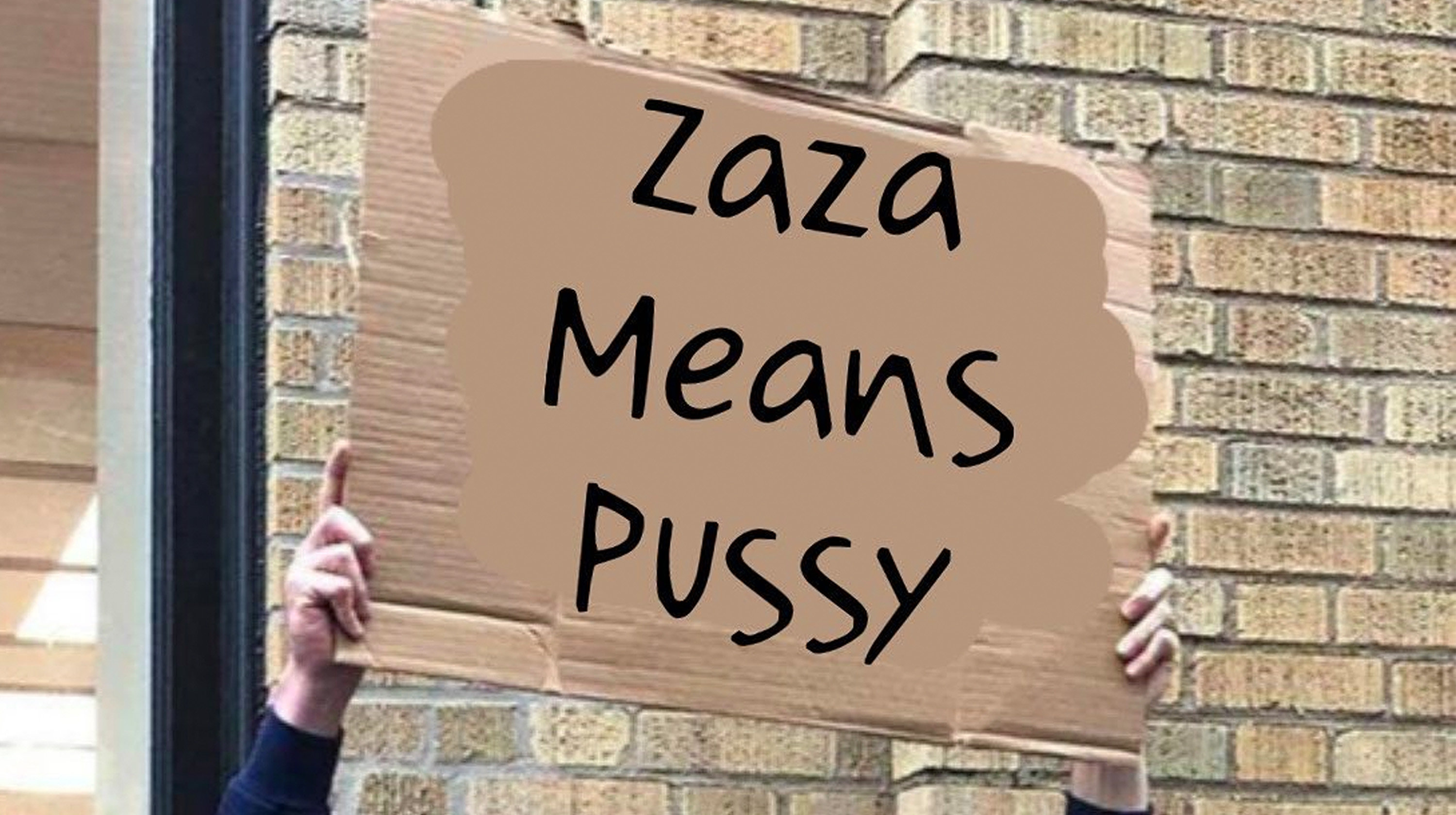 Zaza Means Pussy Image Gallery List View Know Your Meme