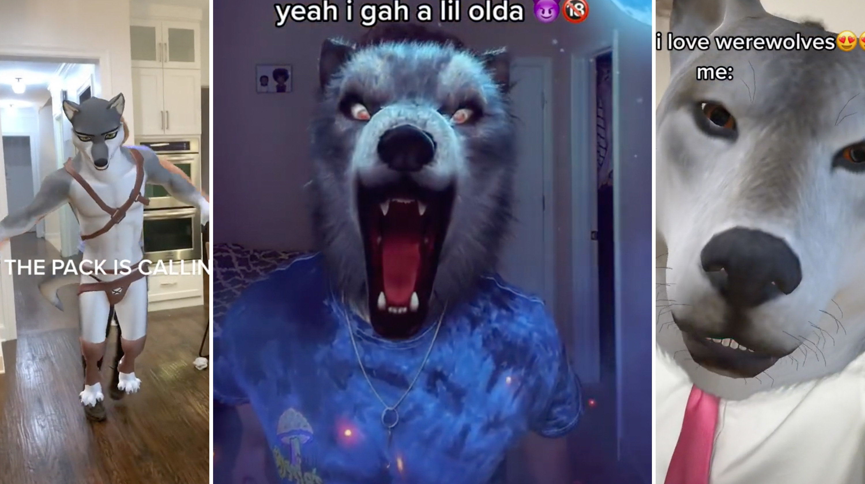 I Think I d Be A Wolf I Think So Too The Tube