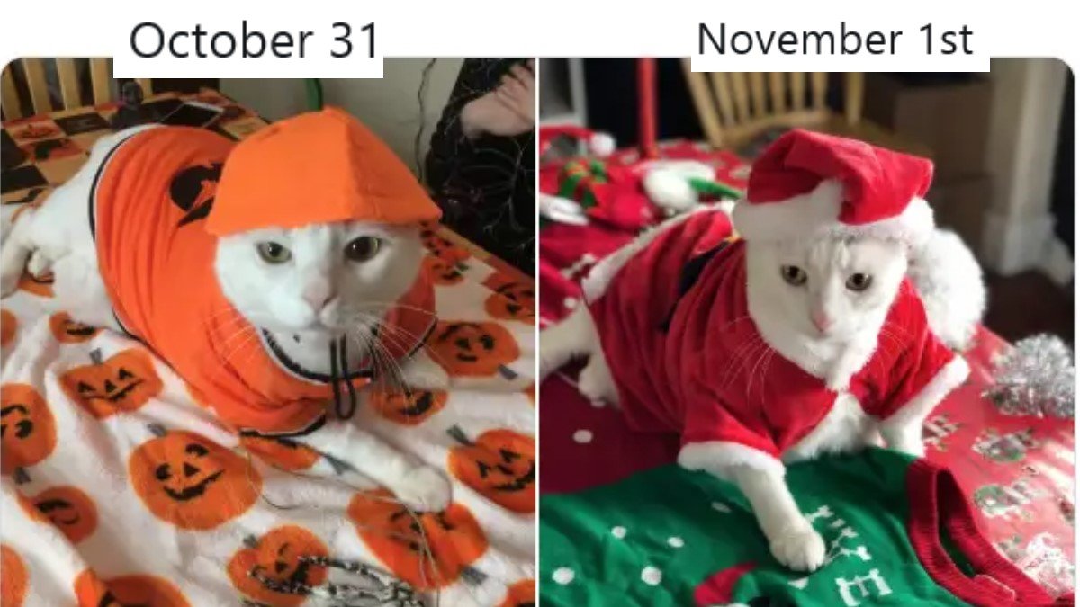 October 31st Vs November 1st Know Your Meme