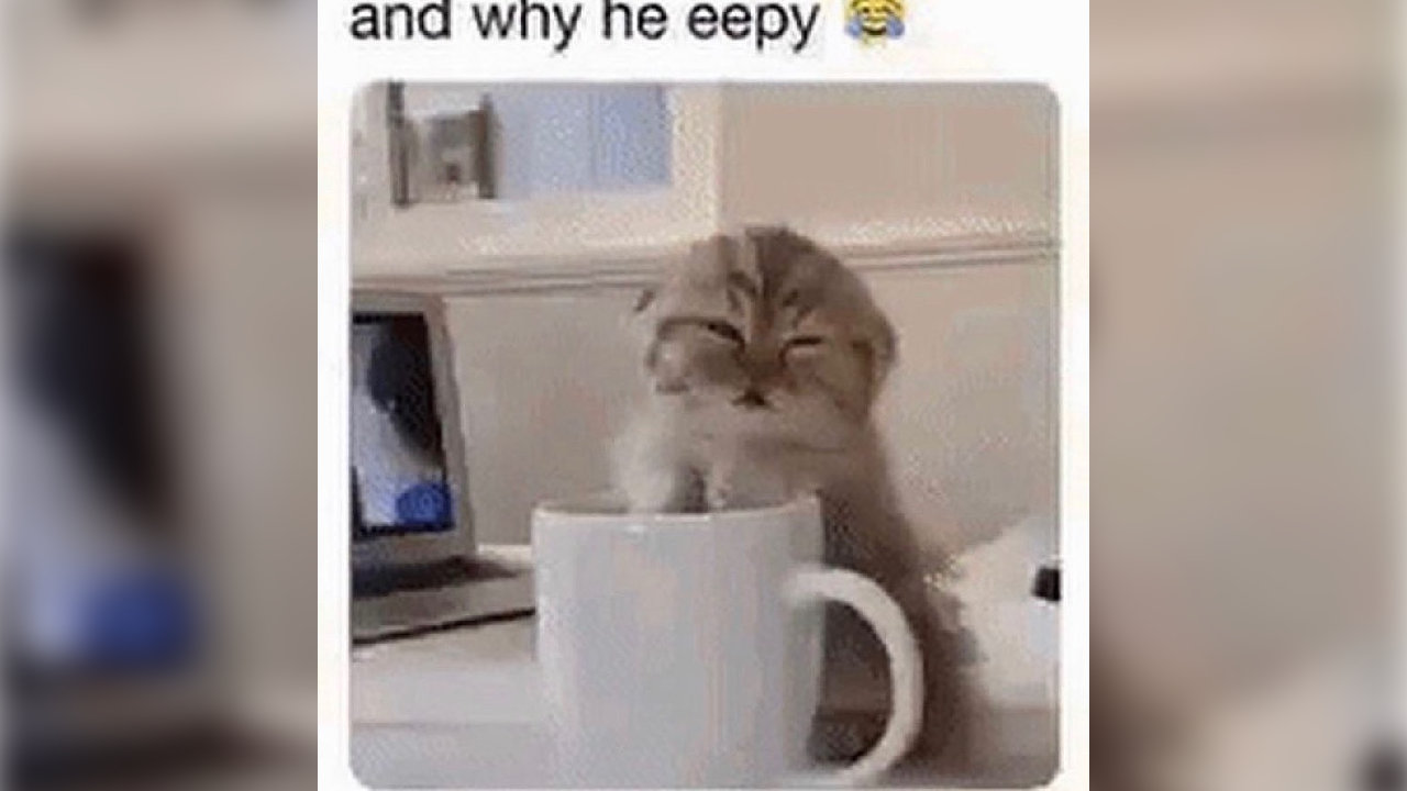 And Why He Eepy Know Your Meme