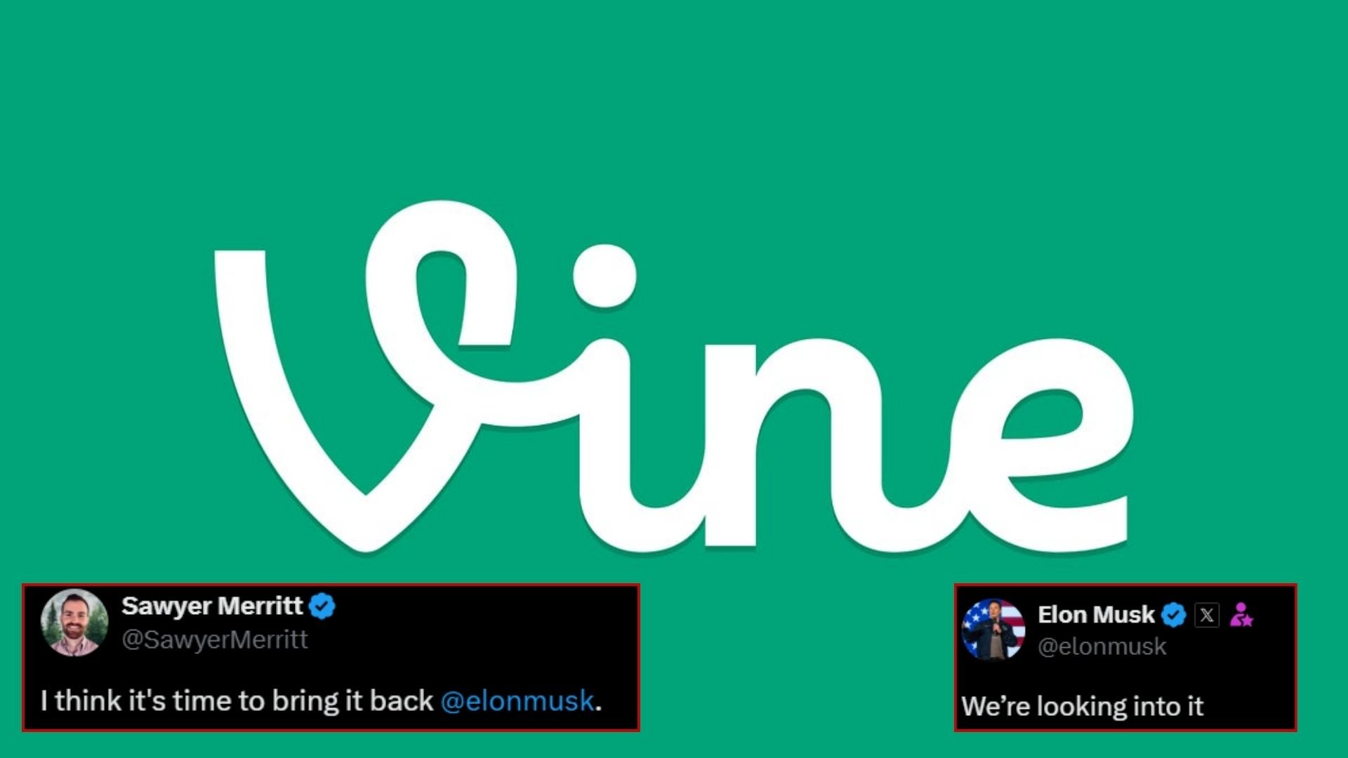 Vine_return_rumor_cover