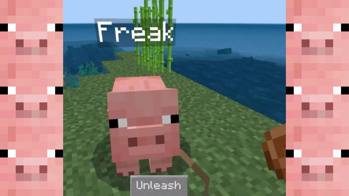 Freakunleashcover