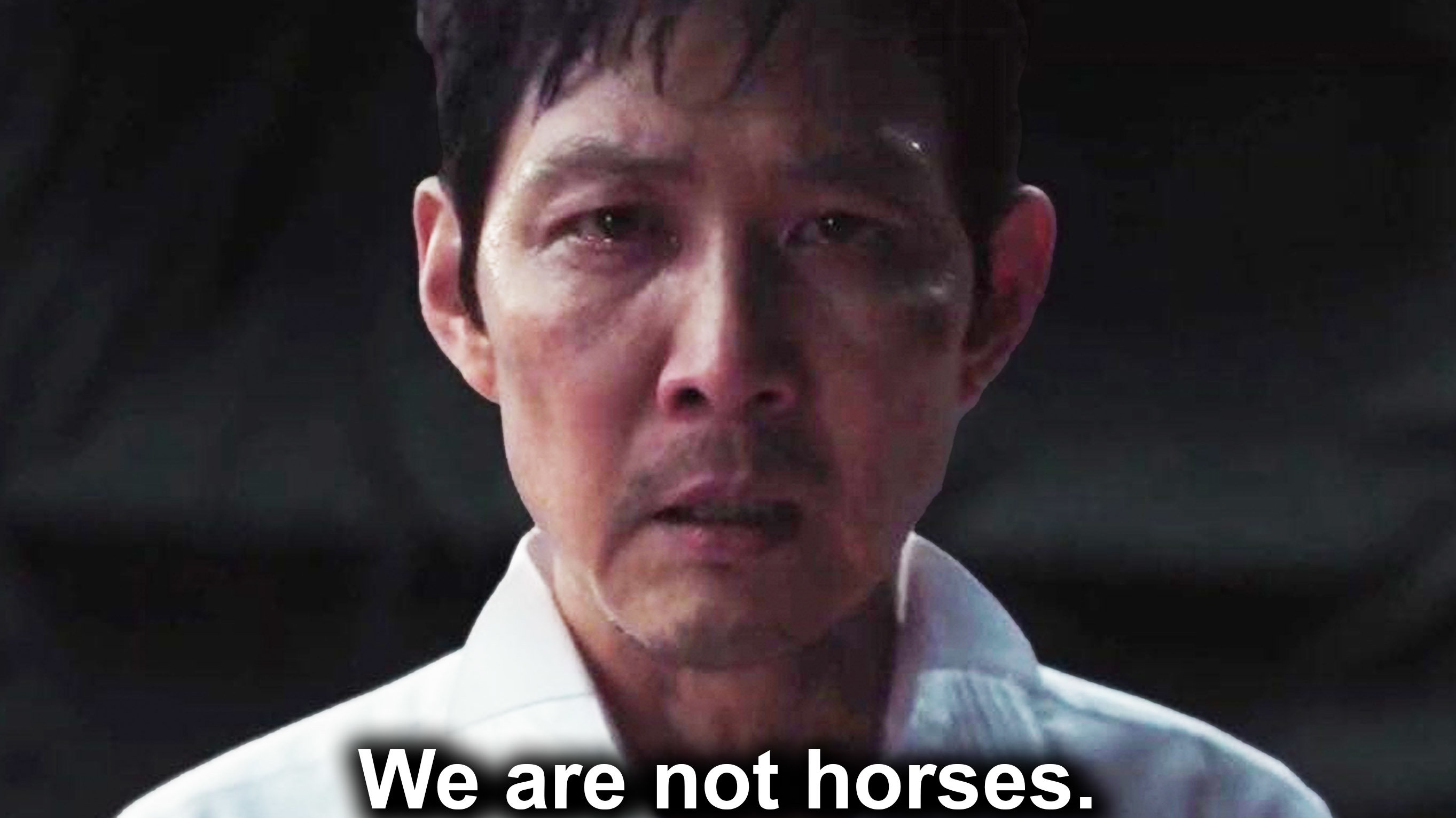 We-are-not-horses