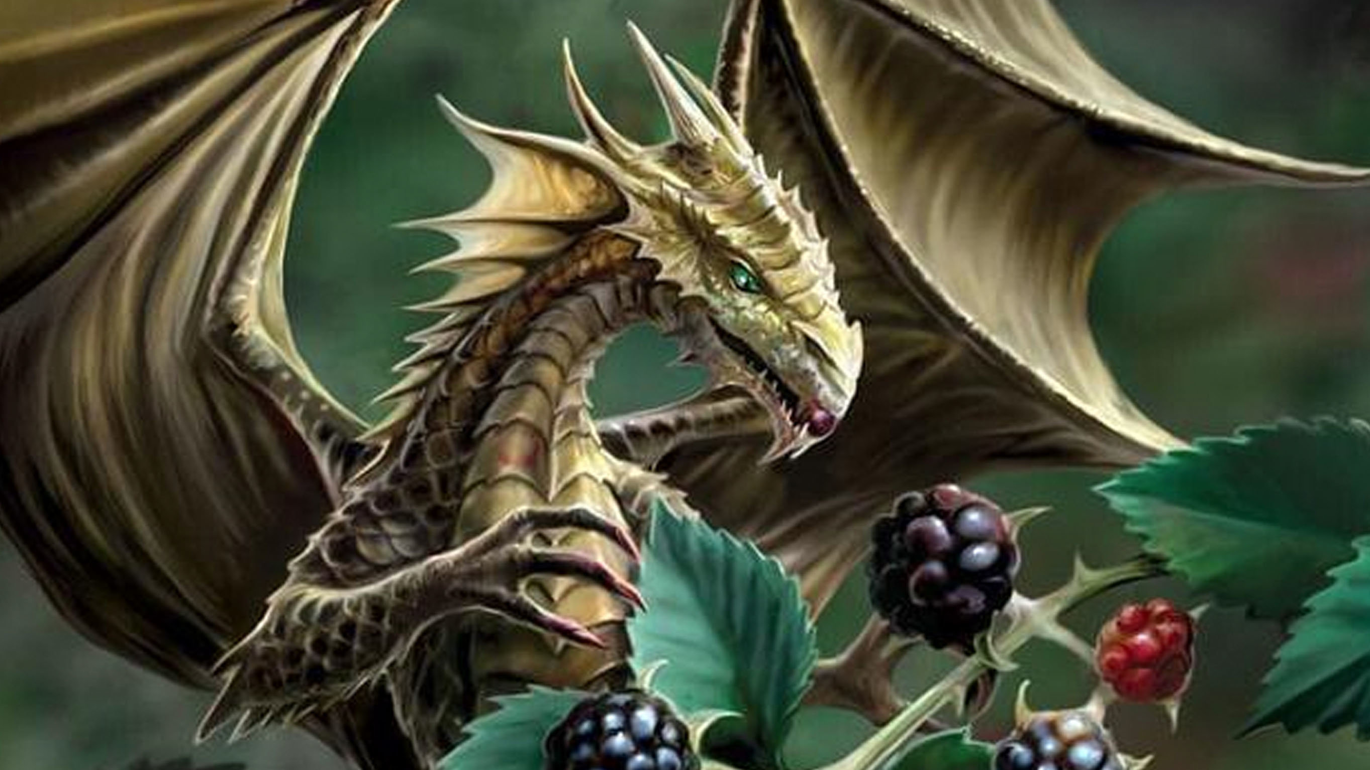 Blackberry-dragon-meme