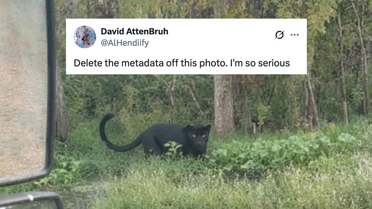 Delete