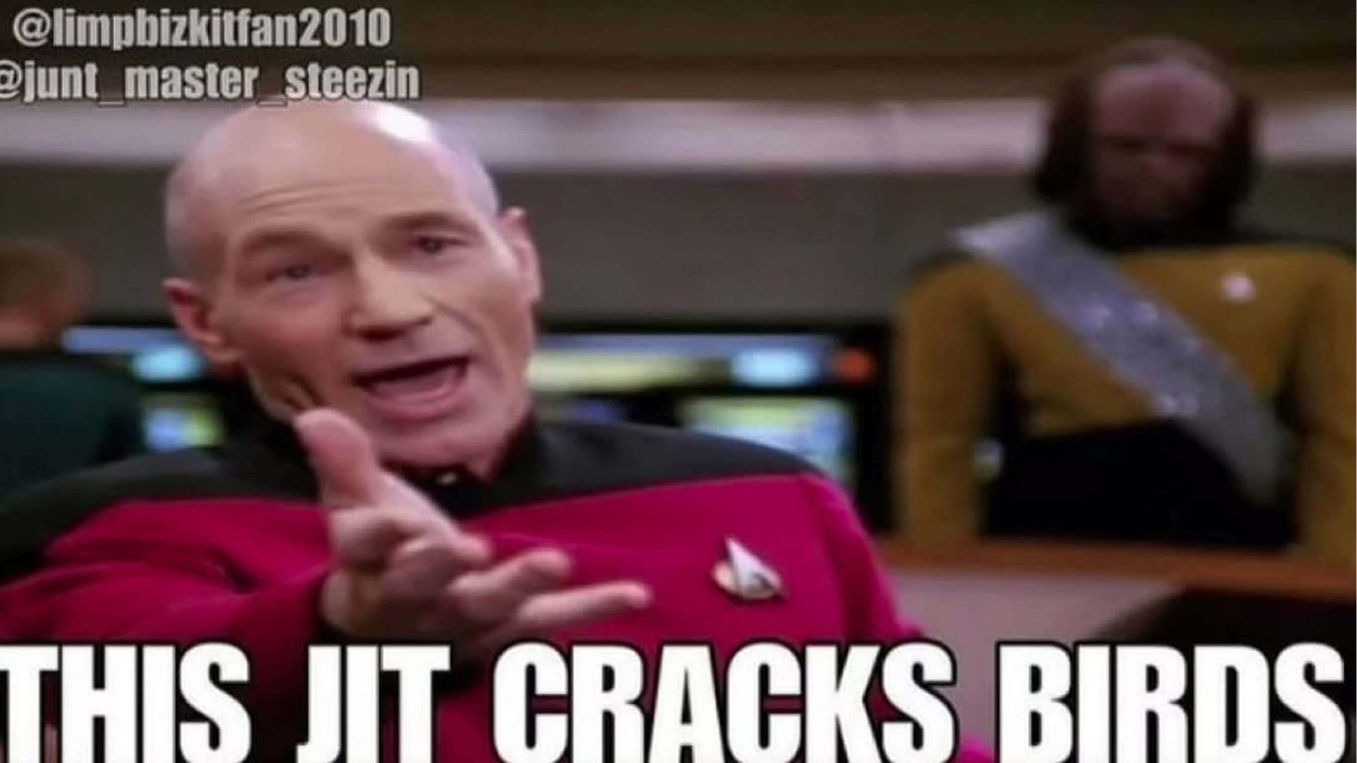 This-jit-cracks-birds