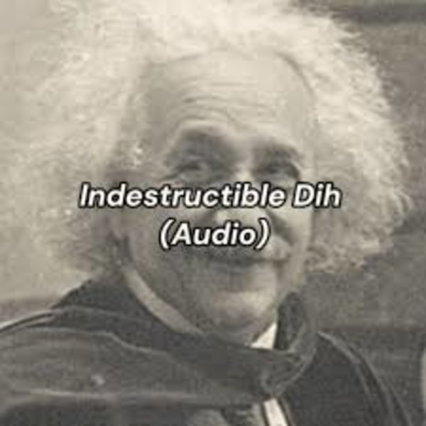 Indestructible_dddddd