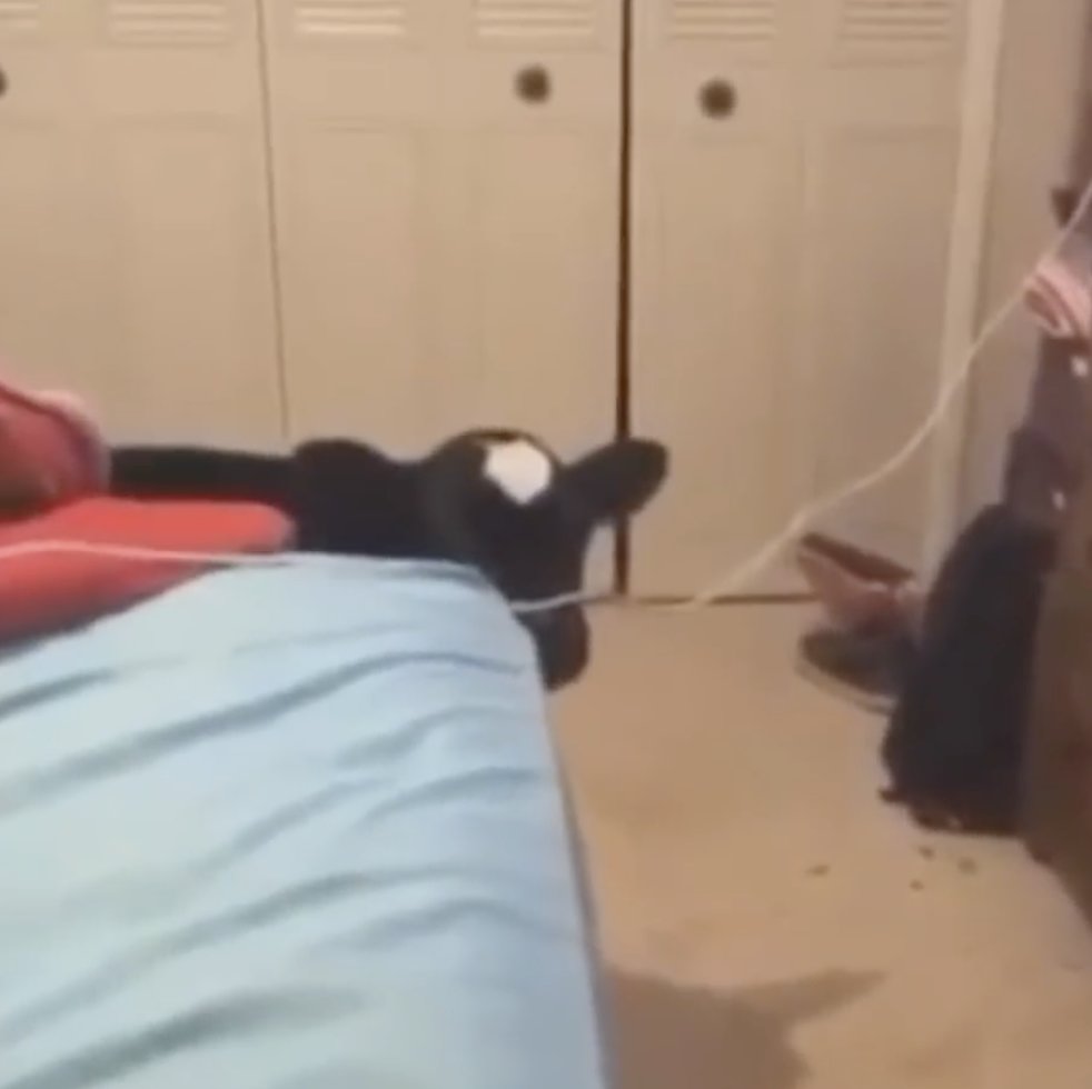 Screenshot_2025-12-17_at_2.43.10%e2%80%afpm