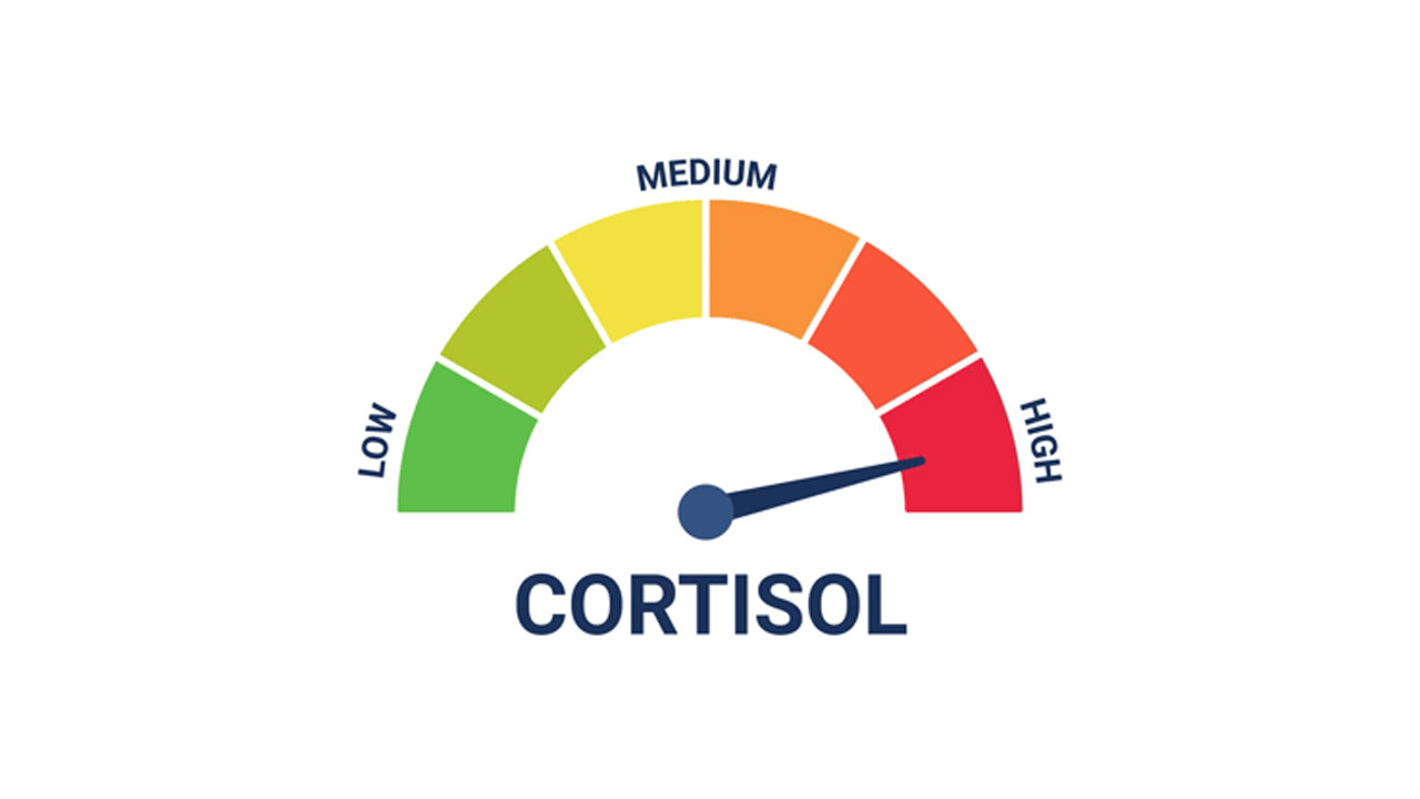 Cortisol_level_spike_meme
