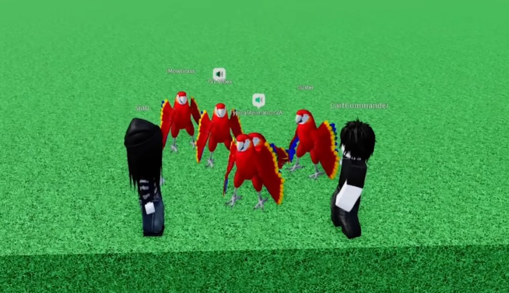 Screenshot_2026-02-13_172046