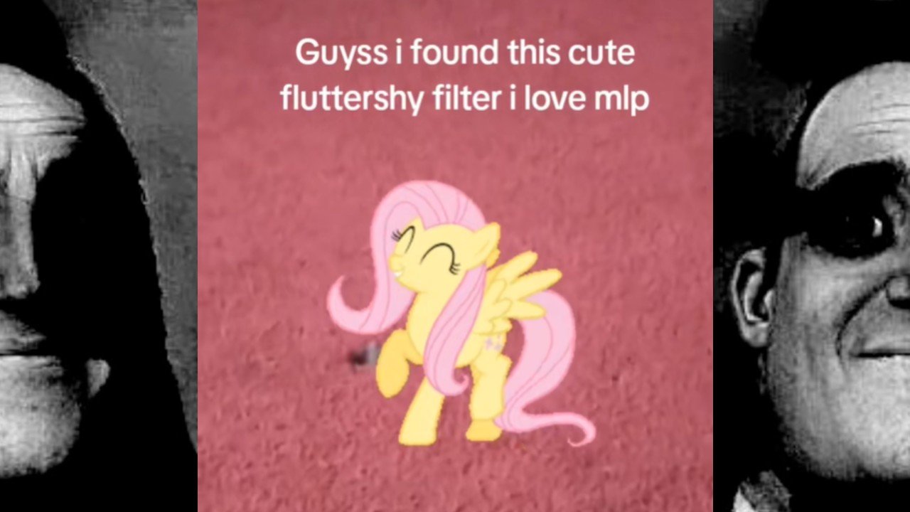 Mlpcover