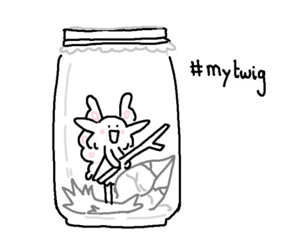 Squilko_mytwig