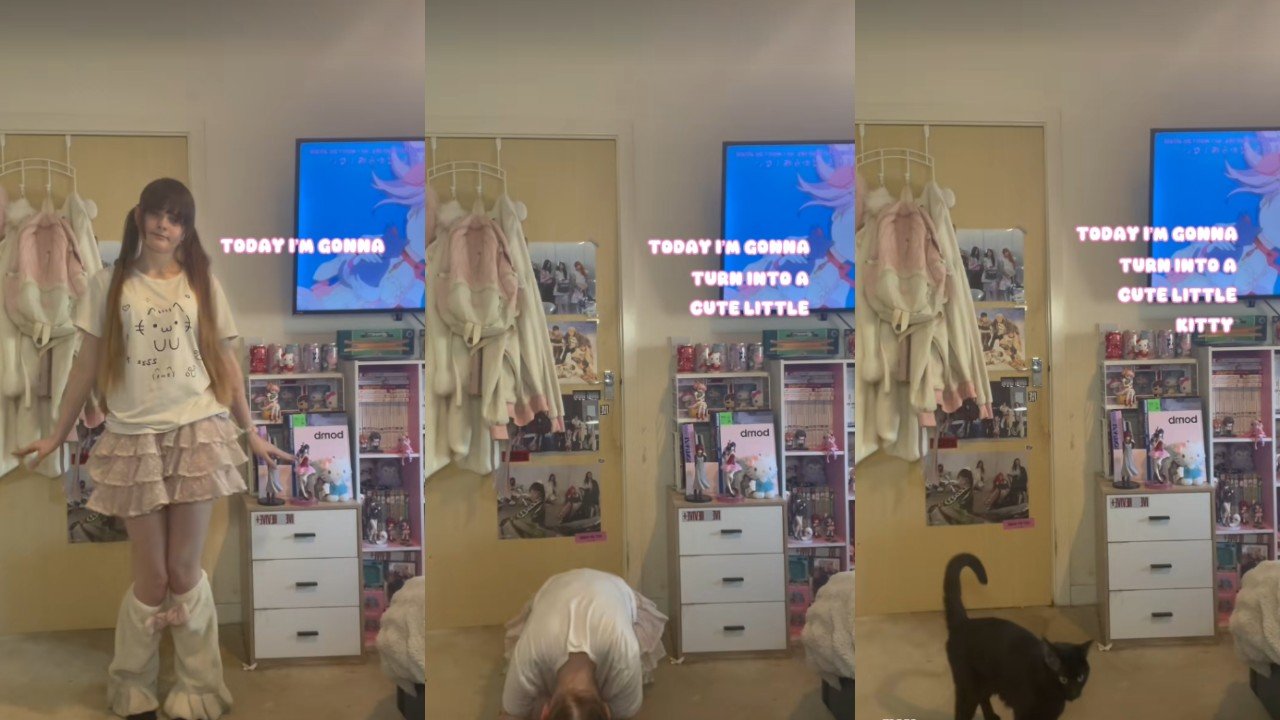 Tigcover