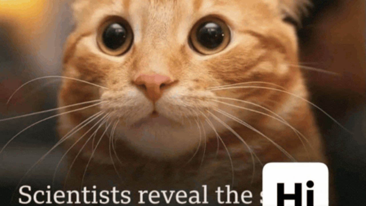 Scientists Reveal the Hi | Know Your Meme