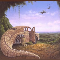 Interior Crocodile Alligator