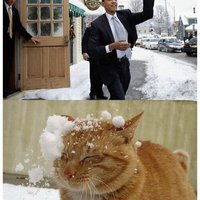 Obama Snowball