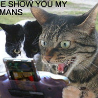 Let Me Show You My Pokemans