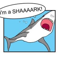 The Singing Shark The Singing Shark