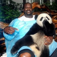 Shaq holding a panda