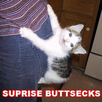 Surprise Buttsecks