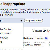 This video will be flagged