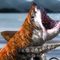 Bearsharktopus Bearsharktopus
