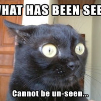 What Has Been Seen Cannot Be Unseen What Has Been Seen Cannot Be Unseen