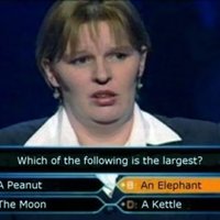 Who Wants to Be a Millionaire?