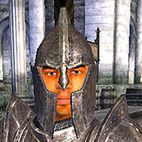 Stop Right There, Criminal Scum Imperial Guard from Oblivion