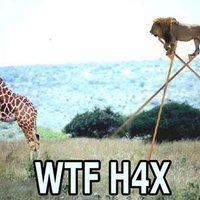WTF H4X