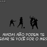 Fatos Curiosos Sobre Ninjas / Curious Ninjas Facts