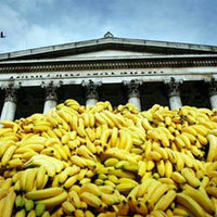 Suddenly, Bananas! Thousands Of Them!