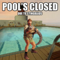 Steve Irwin's Stingray Death