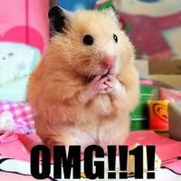 OMG
