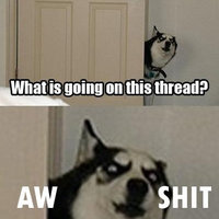 Hey Guys, What’s Going On In This Thread