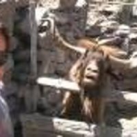 Spitting Goat Spitting Goat