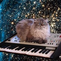 Cat on a Keyboard in Space