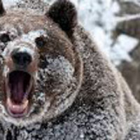 I Fucking Love Cocaine