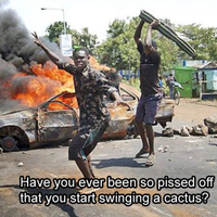 Have You Ever Been So Angry That You...