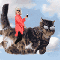 Paula Deen Riding Things