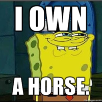 I Own a Horse